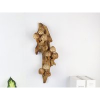 Pilz-Wanddeko Aus Holz, Pilz-Wandkunst, Holzschnitzerei-Wandkunst, Wanddeko-Pilz, Kunst, Pilze, Rustikal, Handgemachtes Geschenk, Mütter, Geschenk von PondokWoodCarving