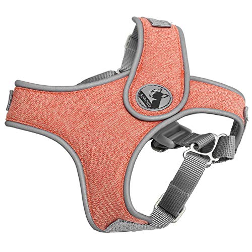 Pongnas Hundekabelbaum und Leine Set, Hundegurthundweste Vest Gurt Verstellbares Atmungsaktives Katzenhund Im Freien Walking -Gurt Reflektierende Haustier -Leinenweste für Kleine Mittelgroße Hunde Pongnas Hundekabelbaum und Leine Set, Hundegurthundweste Vest Gurt Verstellbares Atmungsaktives Katzenhund Im Freien Walking -Gurt Reflektierende Haustier -Leinenweste für Kleine Mittelgroße Hunde von Pongnas
