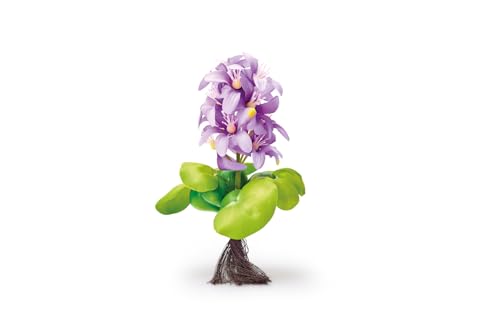 Pontec PondoHyacinth Blooming Pontec PondoHyacinth Blooming von Pontec