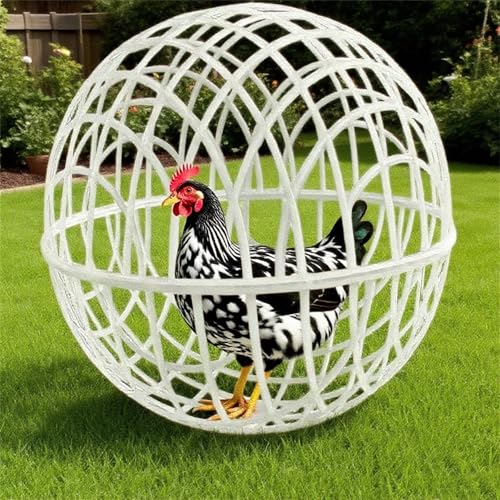 Poo4kark Pet Sphärische Mobile Huhn Rolling Circular Chicken Cage Kaninchen Running Net Pet Cage Outdoor Farm (D, One Size) von Poo4kark