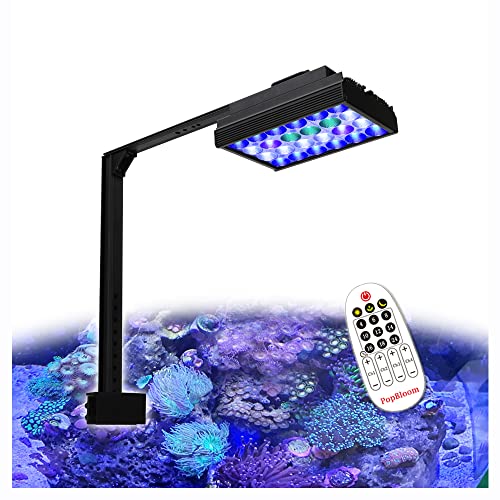 PopBloom 60W aquarium led beleuchtung meerwasser led lampen aquarium für 40-60cm Salzwasser Hartkorallen SPS LPS Nano Tank von PopBloom