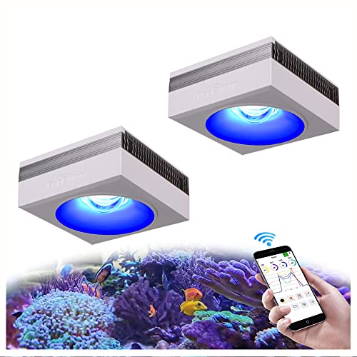 PopBloom RL90 WiFi Meerwasser Led Aquarium Beleuchtung, App Kontrolle Programm Salzwasser Riff Aquarium Beleuchtung für Korallenriff Marine Fisch Tank SPS/LPS Rock (für 80-120cm Becken) von PopBloom