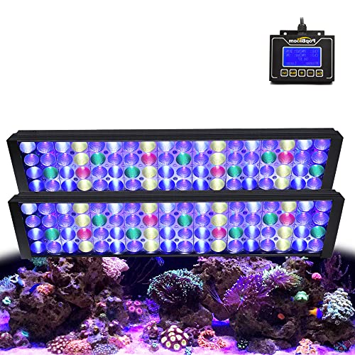 PopBloom T50 Meerwasser LED Aquarium-Beleuchtung für Salzwasser Meerwasser Aquarium Beleuchtungen weiß blaues Spektrum für Koralle Riffbecken 120cm Aquarium von PopBloom