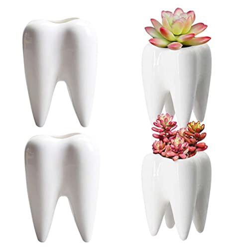 Sukkulenten Topf Zähne-Übertopf 4 Stück Sukkulenten-Blumentopf moderner Keramik-Kaktustopf Blumenbehälter für kleine Pflanzen Weiß von Porgeel