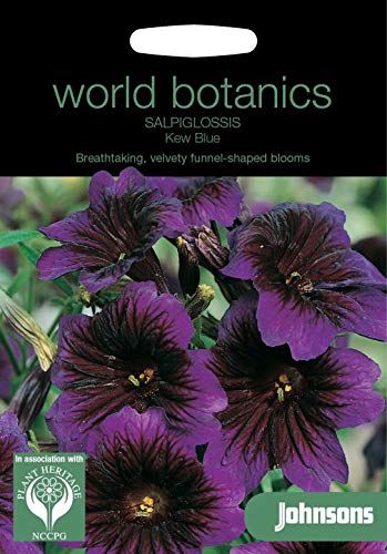 Portal Cool Samen Paket: s Welt Botanics Pictorial Pack - Salpiglossis Kew Blue - 50 Samen von Portal Cool