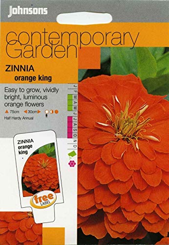 Portal Cool s Seeds - Pictorial Pack - Flower - Zinnia orange King - 60 Samen von Portal Cool