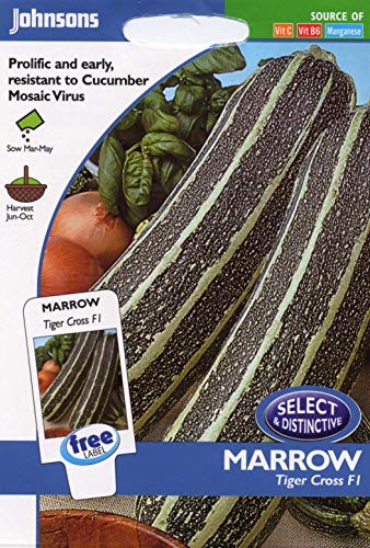 Portal Cool s Seeds - Pictorial Pack - Gemüse - Marrow Cross F1-10 Samen von Portal Cool
