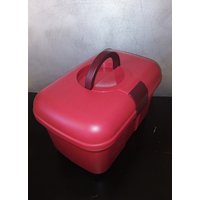 Kunststoff-Box Mit Henkel/Picknick-Box/Organizer/Kurver von PorteDuSoleil