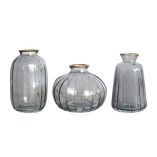 The Urban Gardener Set mit 3 rauchgrauen Glasvasen mit Goldrand von Portico Designs Ltd