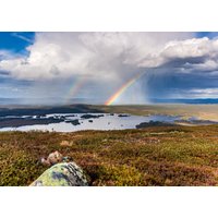 Poster, Wandschmuck, Regenbogen, Lappland, Schweden, Wanddeko, Digitaldrucke, Wohndeko, Sommerzeit, Landschaft, Fjäll, Skandinavien von PortiusPhotography