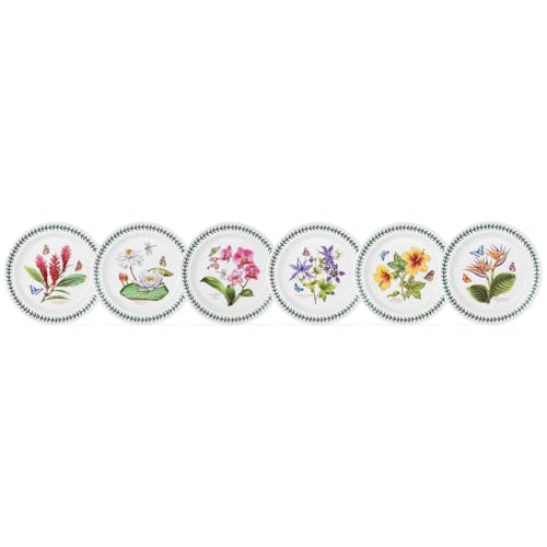 Portmeirion Botanic Garden Speiseteller, Steingut, Mehrfarbig, Dinner Plate von Portmeirion