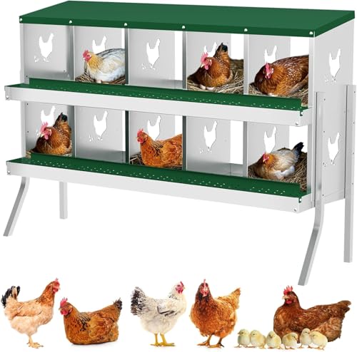 Hühner Legenester 10 Abteile aus Verzinktem Stahl - Legenester für Hühner mit Eierfach - Hühnernest Legebox Abrollnest mit Standbeine - Stabiler & Korrosionsbeständiger - 136 * 43 * 90 - Grün Hühner Legenester 10 Abteile aus Verzinktem Stahl - Legenester für Hühner mit Eierfach - Hühnernest Legebox Abrollnest mit Standbeine - Stabiler & Korrosionsbeständiger - 136 * 43 * 90 - Grün von PortoAlegre
