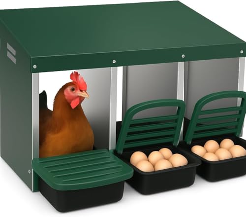 Legenester für Hühner 3 Abteile - Hühner Legenest mit Auffangschale & Lüftungsgitter - Hühnernest Abrollnest für Wandmontage Leichte Reinigung - 80 x 52 x 47cm für Verschiedene Hühnerrassen - Grün Legenester für Hühner 3 Abteile - Hühner Legenest mit Auffangschale & Lüftungsgitter - Hühnernest Abrollnest für Wandmontage Leichte Reinigung - 80 x 52 x 47cm für Verschiedene Hühnerrassen - Grün von PortoAlegre