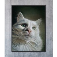 Katzenportrait Nach Fotovorlage Zeichnung Katze in Pastell/Farbstift Handgezeichnet Als Geschenk Oder Erinnerung Porträt Größe A5-A2 von PortraitartbySF
