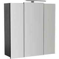 Spiegelschrank „Homeline“ 70 cm mit LED Lampe EEK: F von Posseik