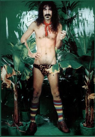Frank Zappa Underwear Music Poster Print Poster, 59x84 von Poster Revolution