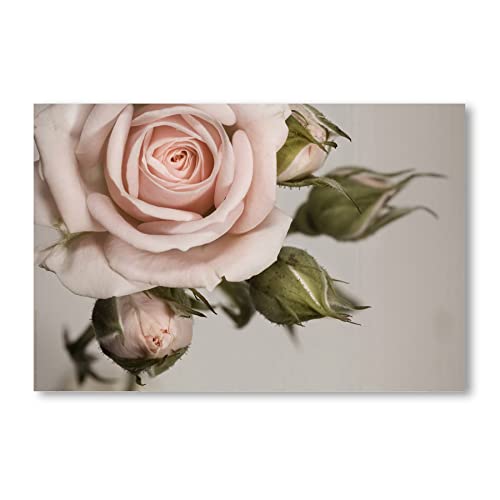 Postereck - 0030 - Vinatge Rose, Blume Rosa Natur Alt Blüte Knospe - Wandposter Fotoposter Bilder Wandbild Wandbilder - Poster - 3:2 - 30,0 cm x 20,0 cm von Poster