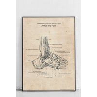 Knöchel - Und Fuß-Originalplakat von PosterPolytechnicCom