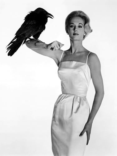 Tippi Hedren is Melanie Daniels (The Birds) - Poster cm. 30 x 40 von Postercinema