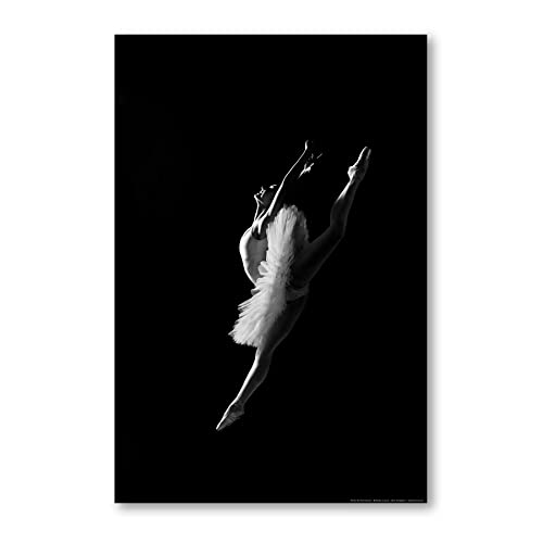 Postereck - 0016 - Ballerina, Sprung Ballett Tanzen Musik Tutu Frau - Wandposter Fotoposter Bilder Wandbild Wandbilder - Poster - 3:2-61,0 cm x 40,5 cm von Postereck