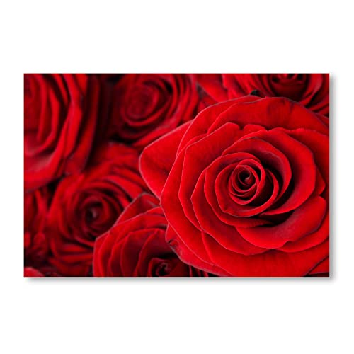 Postereck - 0021 - Rote Rosen, Blumen Rot Liebe Blüte Pflanzen Natur - Wandposter Fotoposter Bilder Wandbild Wandbilder - Poster - 3:2-61,0 cm x 40,5 cm von Postereck