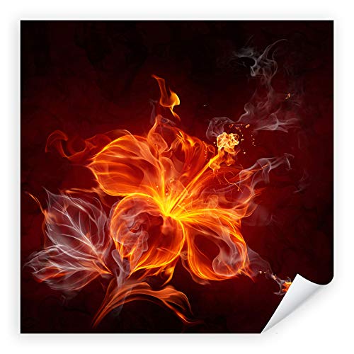 Postereck - 0026 - Quadrat, Hibiskus Blüte Flammen Feuer Rot - Kunst Wandposter Fotoposter Bilder Wandbild Wandbilder - Poster - 40,5cm x 40,5cm von Postereck