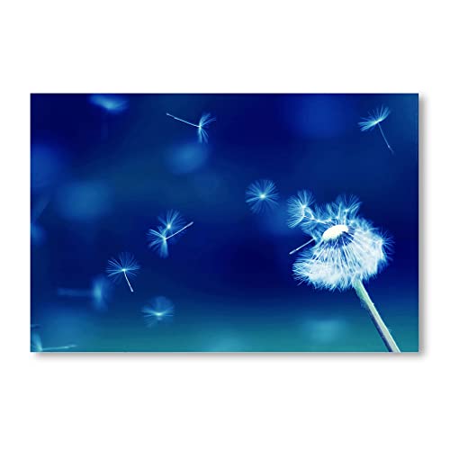 Postereck - 0032 - Pusteblume, Wind Blau Blume Natur Blüte Flora - Wandposter Fotoposter Bilder Wandbild Wandbilder - Poster - DIN A2-42,0 cm x 59,4 cm von Postereck