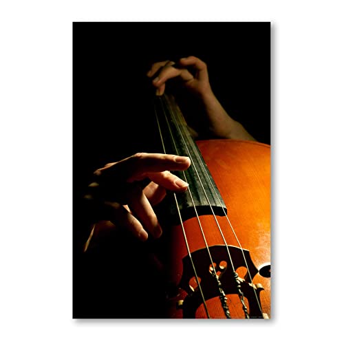 Postereck - 0101 - Kontrabass, Musik Klassik Instrument Rock Jazz - Wandposter Fotoposter Bilder Wandbild Wandbilder - Poster - 4:3-81,0 cm x 61,0 cm von Postereck