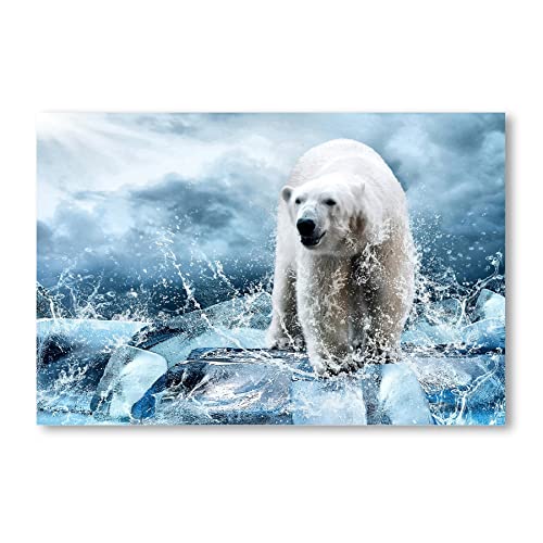 Postereck - 0197 - Eisbär, Eis Antarktis Schnee Eisberg Nordpol Bär - Wandposter Fotoposter Bilder Wandbild Wandbilder - Leinwand - 100,0 cm x 75,0 cm von Postereck