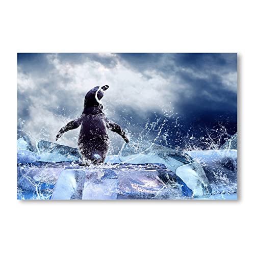 Postereck - 0199 - Pinguin, Eis Vogel Natur Schnee Wasser Tier - Wandposter Fotoposter Bilder Wandbild Wandbilder - Leinwand - 75,0 cm x 50,0 cm von Postereck