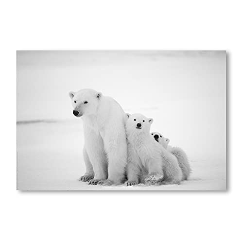 Postereck - 0202 - Eisbären Familie, Arktis Bär Tiere Nordpol Natur - Wandposter Fotoposter Bilder Wandbild Wandbilder - Leinwand - 100,0 cm x 75,0 cm von Postereck