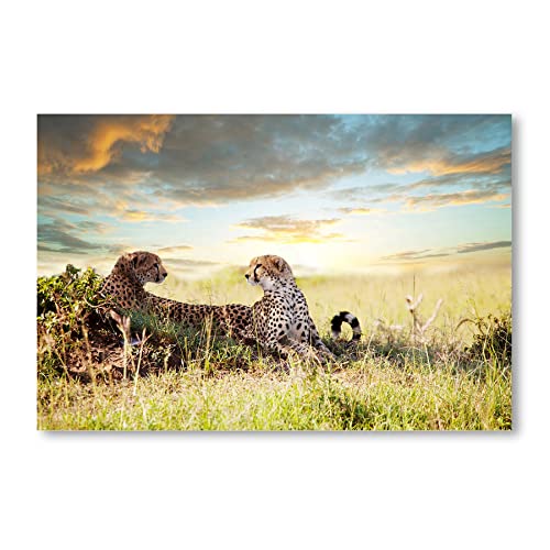 Postereck - 0782 - Geparden, Natur Tiere Katzen Afrika Nationalpark - Wandposter Fotoposter Bilder Wandbild Wandbilder - Leinwand - 60,0 cm x 40,0 cm von Postereck