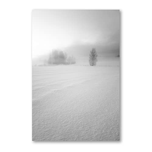 Postereck - 0920 - Winterlandschaft, Schnee Winter Natur Landschaft - Wandposter Fotoposter Bilder Wandbild Wandbilder - Poster - DIN A3-29,7 cm x 42,0 cm von Postereck