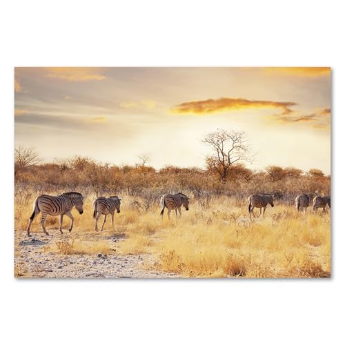 Postereck - 1248 - Zebra, Landschaft Natur Tier Savanne Herde Steppe - Wandposter Fotoposter Bilder Wandbild Wandbilder - Poster - 3:2-30,0 cm x 20,0 cm Postereck - 1248 - Zebra, Landschaft Natur Tier Savanne Herde Steppe - Wandposter Fotoposter Bilder Wandbild Wandbilder - Poster - 3:2-30,0 cm x 20,0 cm von Postereck