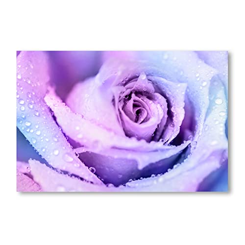 Postereck - 1336 - Vintage Rose, Rosa Blume Blüte Pflanze Liebe - Wandposter Fotoposter Bilder Wandbild Wandbilder - Poster - DIN A4-21,0 cm x 29,7 cm von Postereck