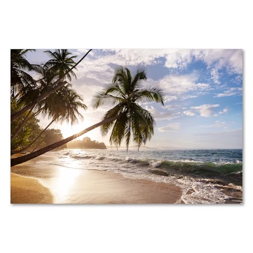 Postereck - 1363 - Palmen, Strand Meer Natur Landschaft Sonne Welle - Wandposter Fotoposter Bilder Wandbild Wandbilder - Poster - DIN A2-42,0 cm x 59,4 cm Postereck - 1363 - Palmen, Strand Meer Natur Landschaft Sonne Welle - Wandposter Fotoposter Bilder Wandbild Wandbilder - Poster - DIN A2-42,0 cm x 59,4 cm von Postereck