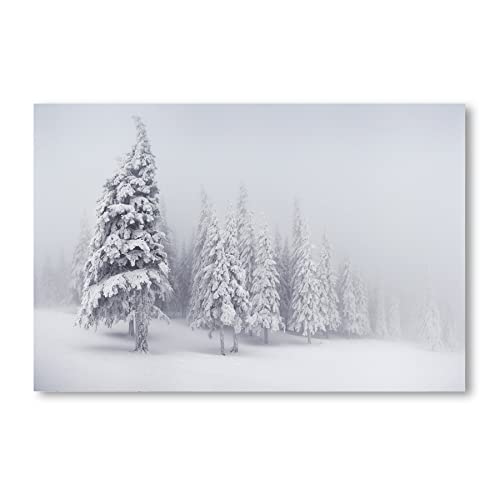 Postereck - 1407 - Winter, Landschaft Natur Schnee Bäume Wald Nebel - Wandposter Fotoposter Bilder Wandbild Wandbilder - Poster - 3:2-30,0 cm x 20,0 cm von Postereck