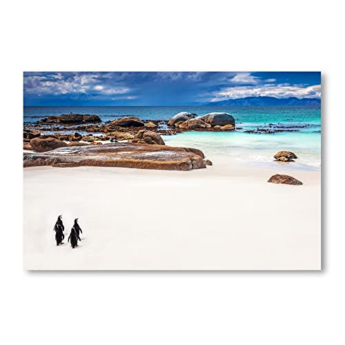 Postereck - 1468 - Pinguine, Strand Meer Felsen Natur Tier Afrika - Wandposter Fotoposter Bilder Wandbild Wandbilder - Leinwand - 60,0 cm x 40,0 cm von Postereck