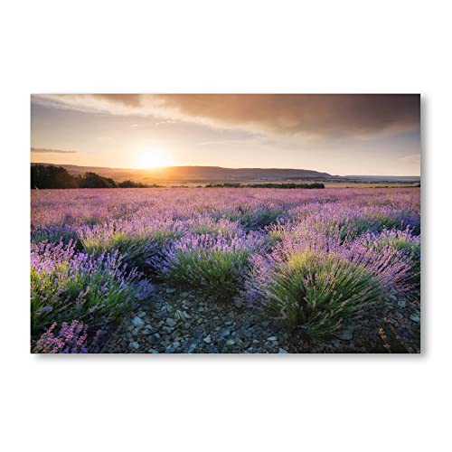 Postereck - 2210 - Lavendel, Feld Sonnenuntergang Landschaft Natur - Wandposter Fotoposter Bilder Wandbild Wandbilder - Poster - DIN A2-42,0 cm x 59,4 cm von Postereck