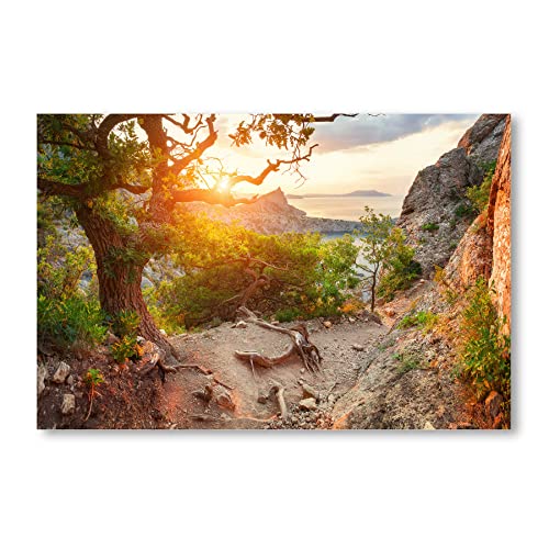 Postereck - 2587 - Sonnenuntergang, Natur Landschaft Meer Baum Fels - Wandposter Fotoposter Bilder Wandbild Wandbilder - Poster - 3:2-91,0 cm x 61,0 cm von Postereck