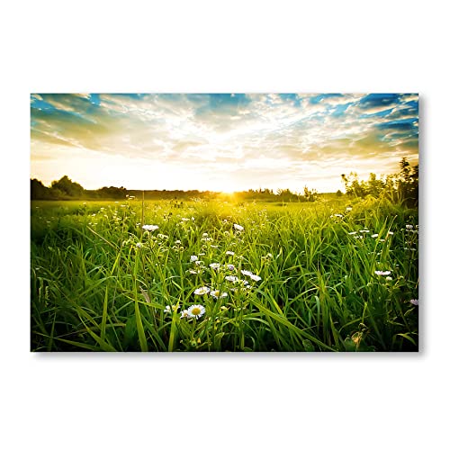 Postereck - 2681 - Blumenwiese, Natur Landschaft Sommer Blumen - Wandposter Fotoposter Bilder Wandbild Wandbilder - Poster - DIN A3-29,7 cm x 42,0 cm von Postereck