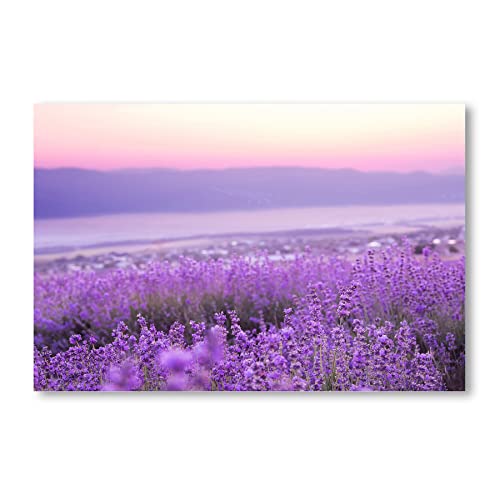 Postereck - 2702 - Lavendel, Feld Natur Landschaft Blumen Wiese - Wandposter Fotoposter Bilder Wandbild Wandbilder - Poster - DIN A4-21,0 cm x 29,7 cm von Postereck