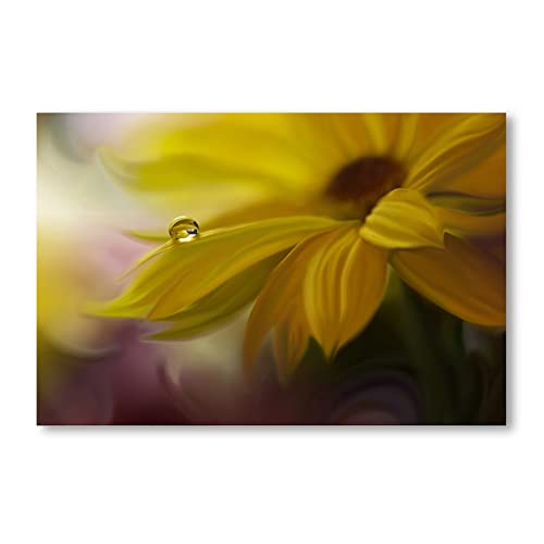 Postereck - 2763 - Gelbe Blume, Blüte Natur Wassertropfen Pflanze - Wandposter Fotoposter Bilder Wandbild Wandbilder - Poster - 3:2-61,0 cm x 40,5 cm von Postereck