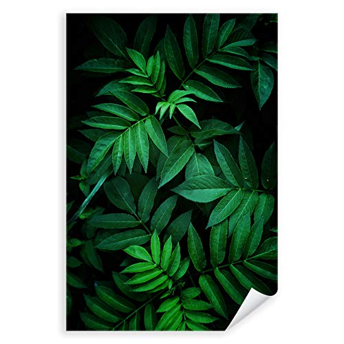 Postereck - 2820 - Natur, Pflanze Blätter Baum Grün Blatt Wald - Wandposter Fotoposter Bilder Wandbild Wandbilder - Poster - 3:2-30,0 cm x 20,0 cm von Postereck