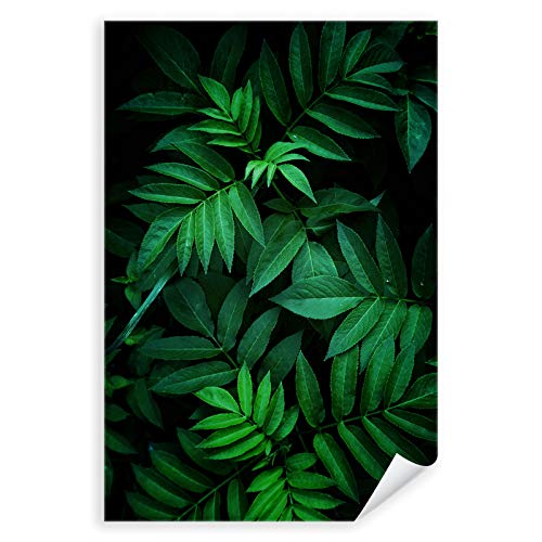 Postereck - 2820 - Natur, Pflanze Blätter Baum Grün Blatt Wald - Wandposter Fotoposter Bilder Wandbild Wandbilder - Poster - 3:2-91,0 cm x 61,0 cm von Postereck