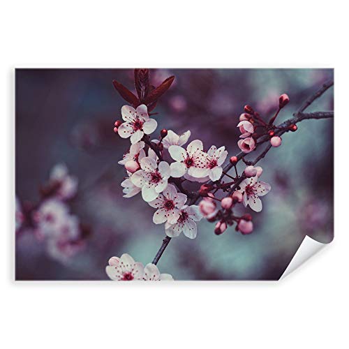 Postereck - 2844 - Kirschblüte, Obst Baum Flora Blüte Natur Kirsche - Wandposter Fotoposter Bilder Wandbild Wandbilder - Poster - 3:2-91,0 cm x 61,0 cm von Postereck