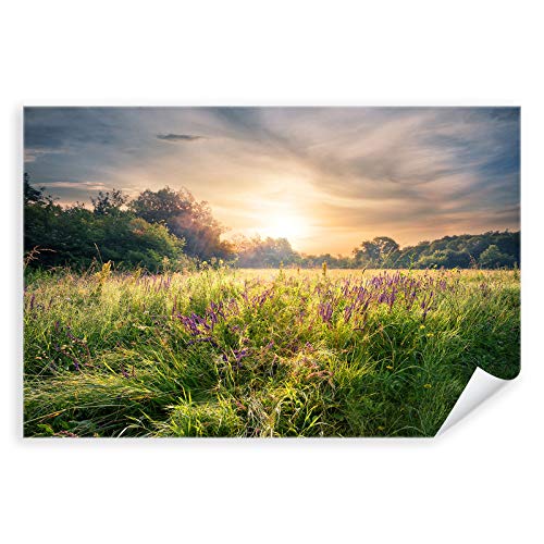 Postereck - 2942 - Sommer, Wiese Feld Natur Landschaft Blumen Sonne - Wandposter Fotoposter Bilder Wandbild Wandbilder - Poster - 3:2-91,0 cm x 61,0 cm von Postereck