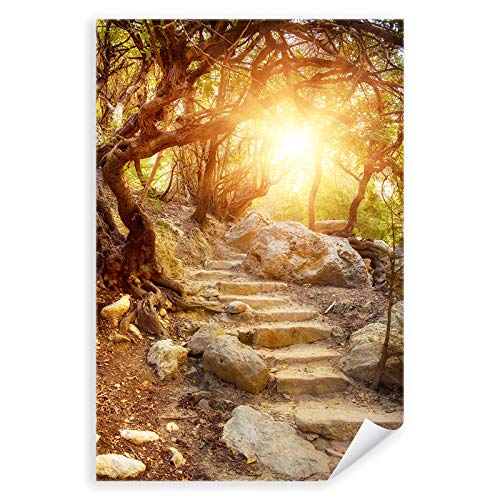 Postereck - 3087 - Alter Weg, Natur Landschaft Bäume Wald Treppe - Wandposter Fotoposter Bilder Wandbild Wandbilder - Poster - DIN A4-21,0 cm x 29,7 cm von Postereck