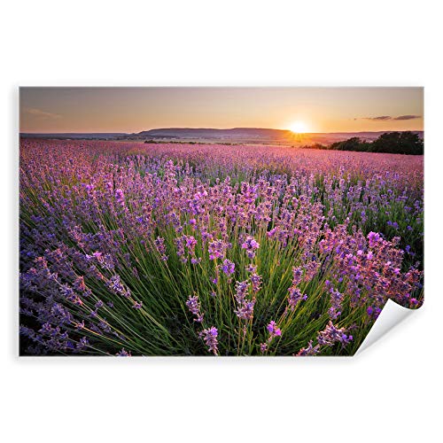 Postereck - 3104 - Lavendel, Feld Blume Blüte Wiese Natur Flora - Wandposter Fotoposter Bilder Wandbild Wandbilder - Poster - 4:3-81,0 cm x 61,0 cm von Postereck