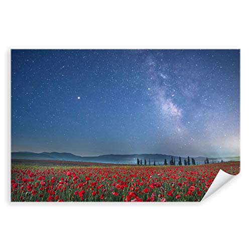 Postereck - 3183 - Mohnblumen, Feld Natur Sommer Sterne Wiese - Wandposter Fotoposter Bilder Wandbild Wandbilder - Poster - 3:2-91,0 cm x 61,0 cm von Postereck